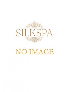 風俗 (デリバリーエステ 中洲) SILK SPA　福岡店 うみ ビッグデザイア